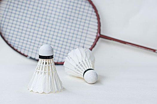 仅能丰富比 仅能丰富比